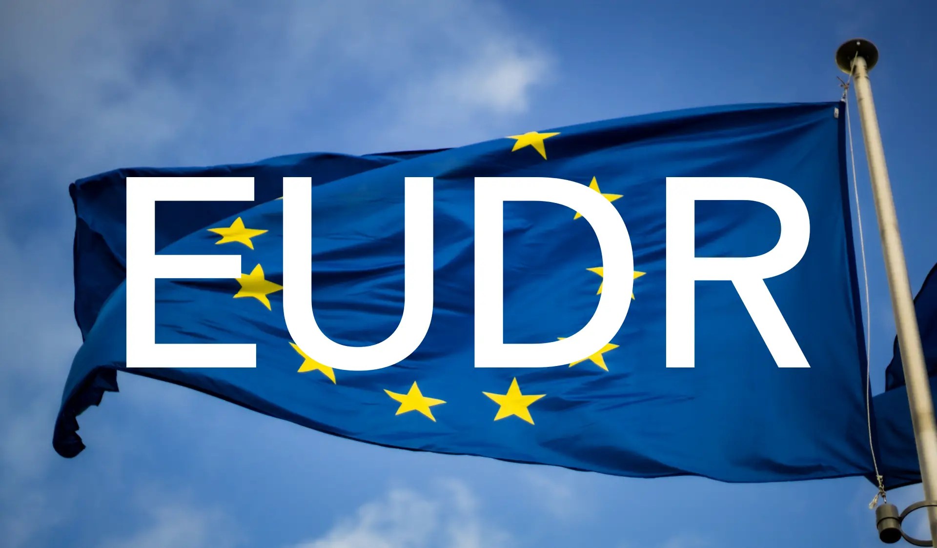 EU-Flagge vor blauem Himmel mit dem Schriftzug EUDR